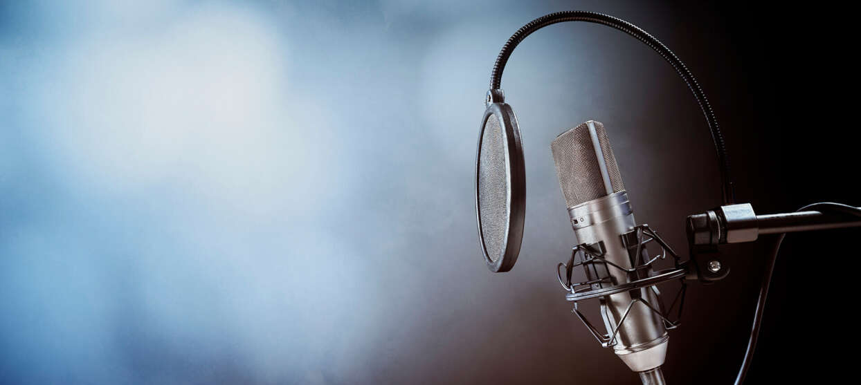 Professional Voice Over Services